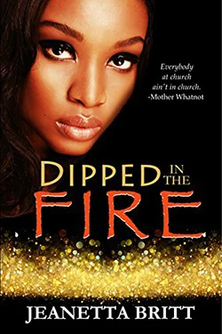 Fire Series book cover